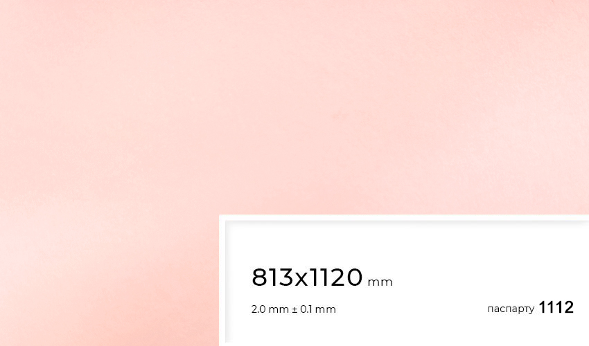 Паспарту 1112