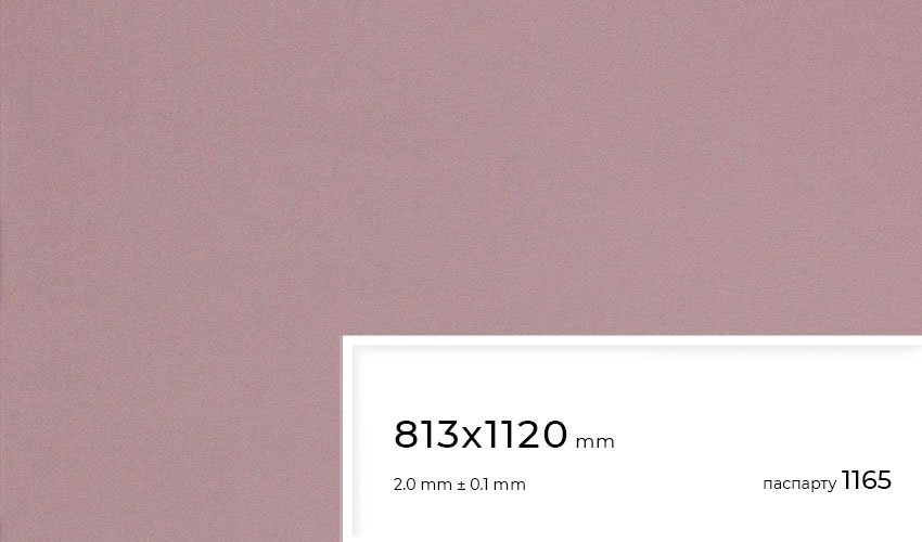 Паспарту 1165