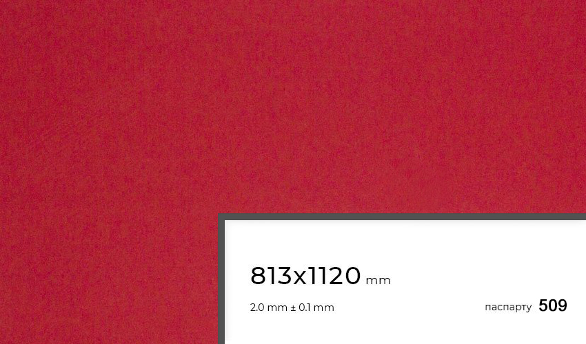 Паспарту 509