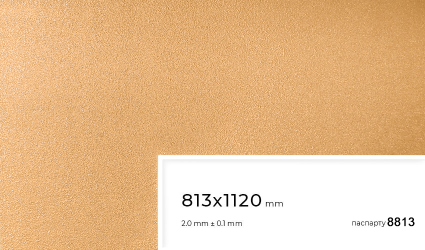 Паспарту 8813