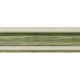 DM2521-1284-11